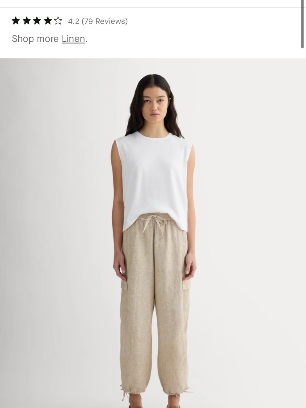 Everlane Flax Barrel Linen Cargo Pants
